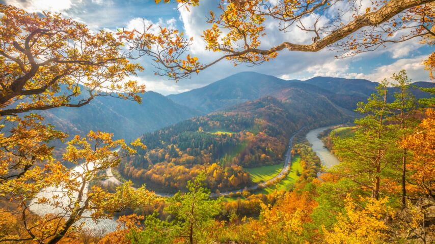 Herbstlicher Wald mit Flusschleife